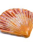 Sea Shell - Handmade Ceramic tiles