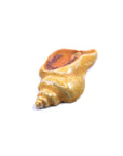 Sea Shell - Handmade Ceramic tiles