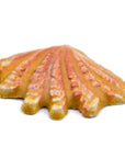 Sea Shell - Handmade Ceramic tiles