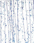 Cobalt Blue, Gray Blue, and Aqua Frit, Blue Streamers Clear Base Collage