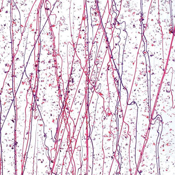Cranberry and Purple Frit, Cranberry and Purple Streamers Clear Base Collage