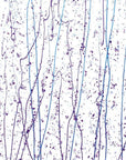 Neo-Lavender and Purple Frit, Cobalt Blue and Purple Streamers Clear Base Collage