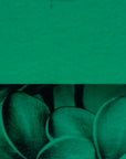 Emerald Green Transparent Bullseye Glass