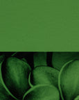 Light Green Transparent Bullseye Glass