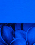 True Blue Transparent Bullseye Glass