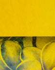 Yellow Transparent, Iridescent, rainbow Bullseye Glass