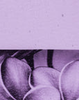 Neo-Lavender Shift Transparent Bullseye Glass