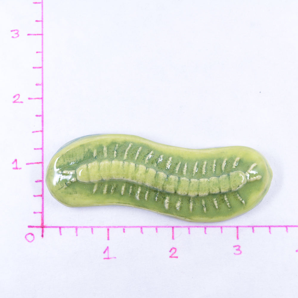 Centipede - Handmade Ceramic Insects