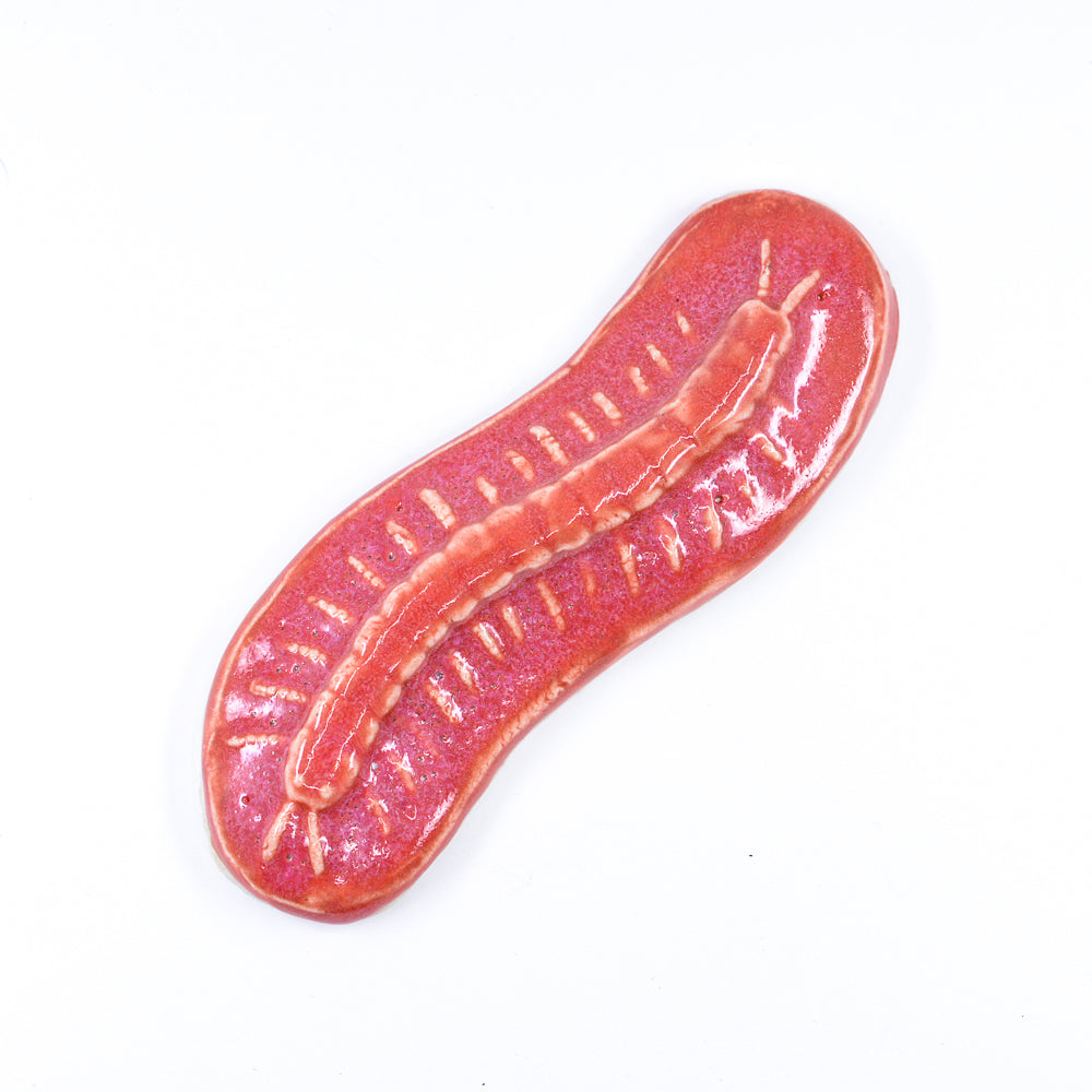 Centipede - Handmade Ceramic Insects