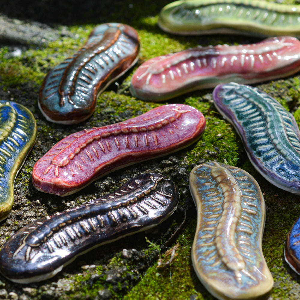 Centipede - Handmade Ceramic Insects