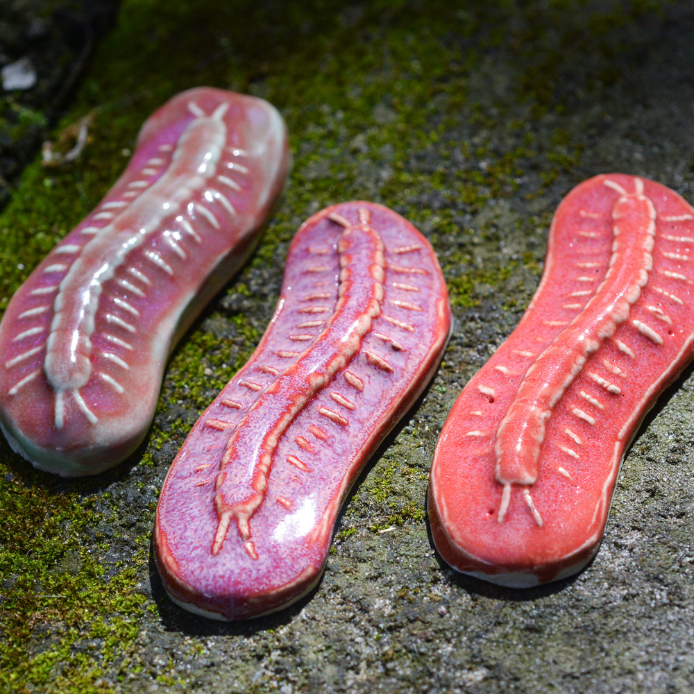 Centipede - Handmade Ceramic Insects