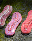 Centipede - Handmade Ceramic Insects