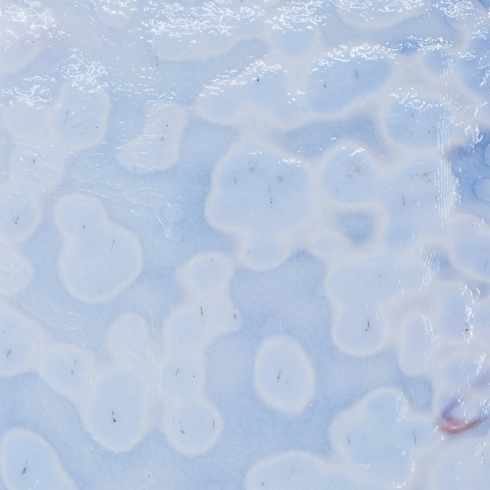 White Opalescent, Burgundy Transparent Mottle