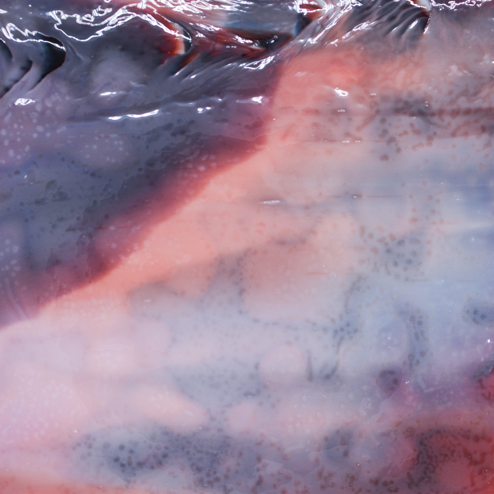 White Opalescent, Burgundy Transparent Mottle