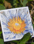 Water Lily - Blank Greeting Card