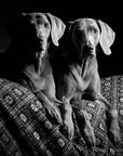Duo