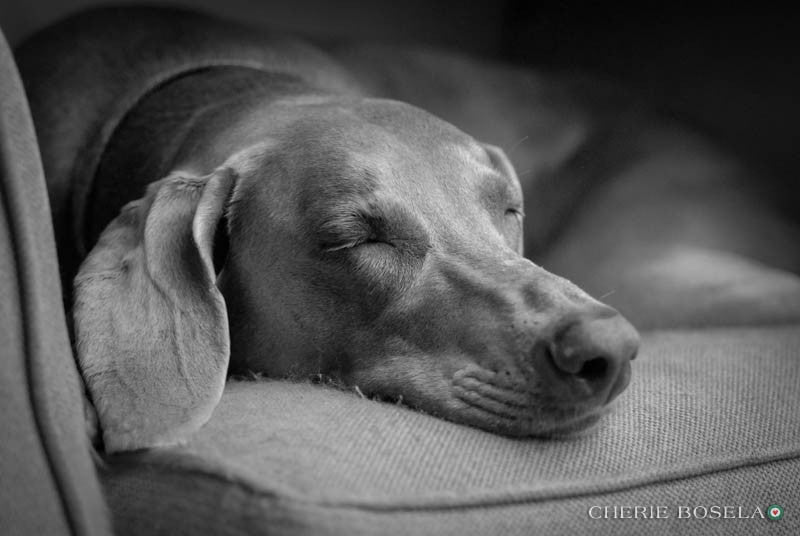 Napping