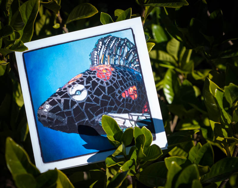 Koi Fish - Blank Greeting Card