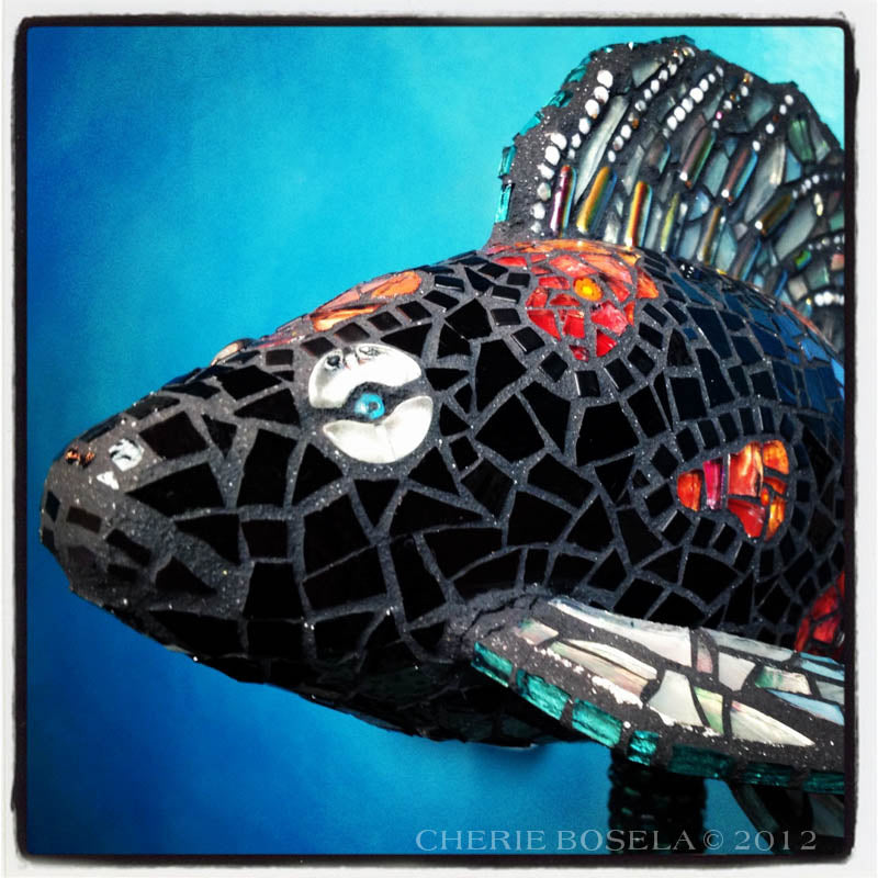 Koi Fish - Blank Greeting Card