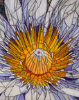 Water Lily - Blank Greeting Card