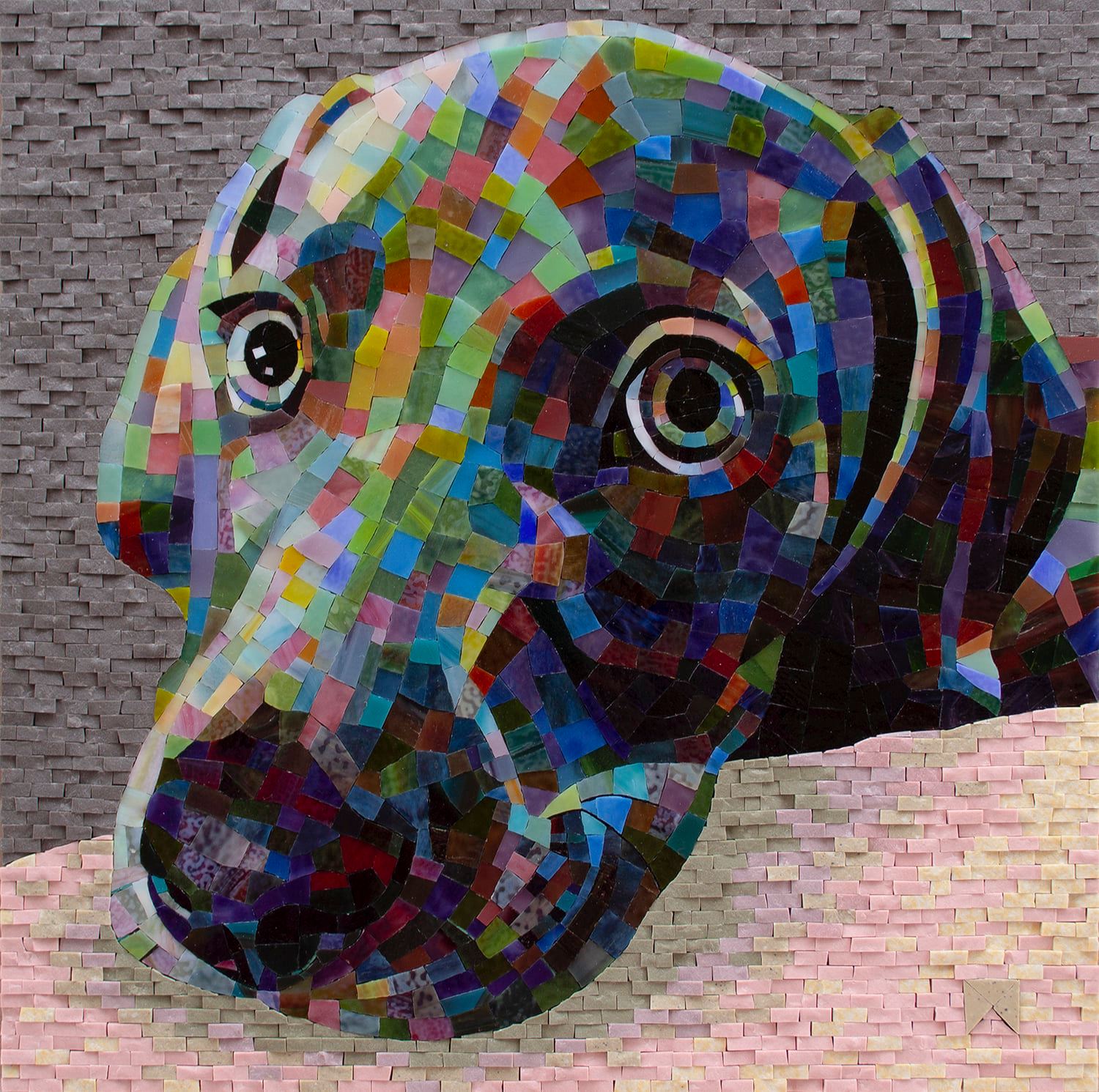 Color Freedom Pet Portrait Mosaic with Donna Van Hooser - Jan 31-Feb 2 ...