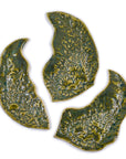 Seaweed - Sea Life Tile - Handmade Ceramic tiles