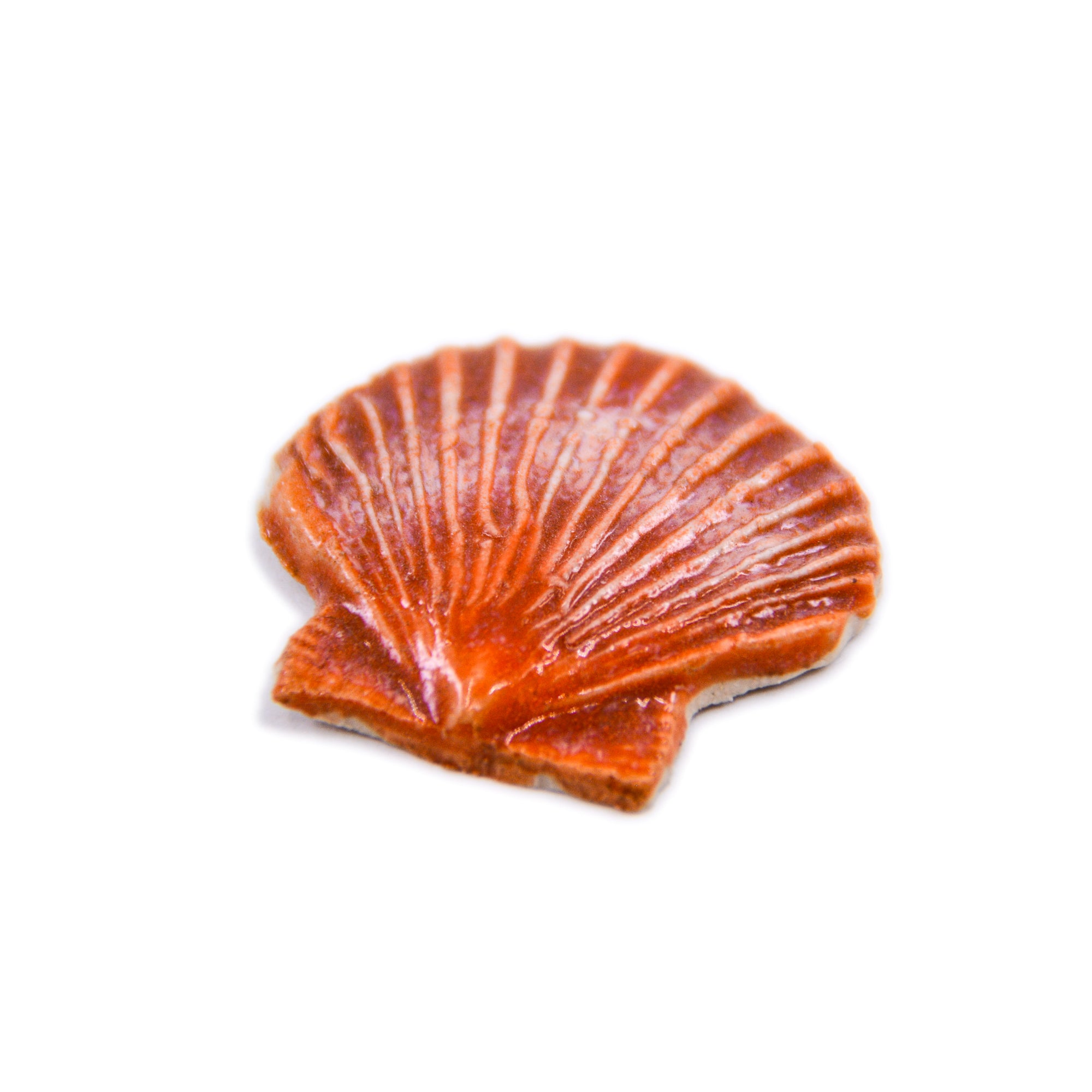 Sea Shell - Handmade Ceramic tiles