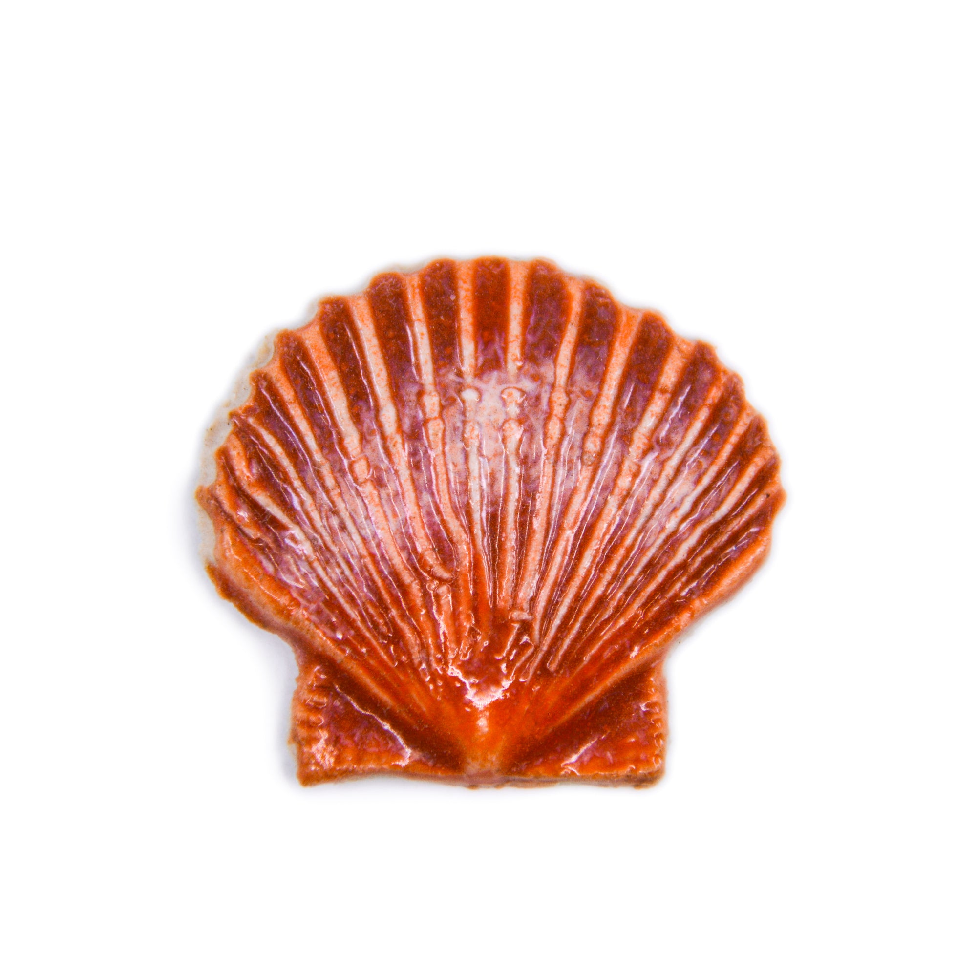 Sea Shell - Handmade Ceramic tiles
