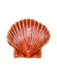 Sea Shell - Handmade Ceramic tiles