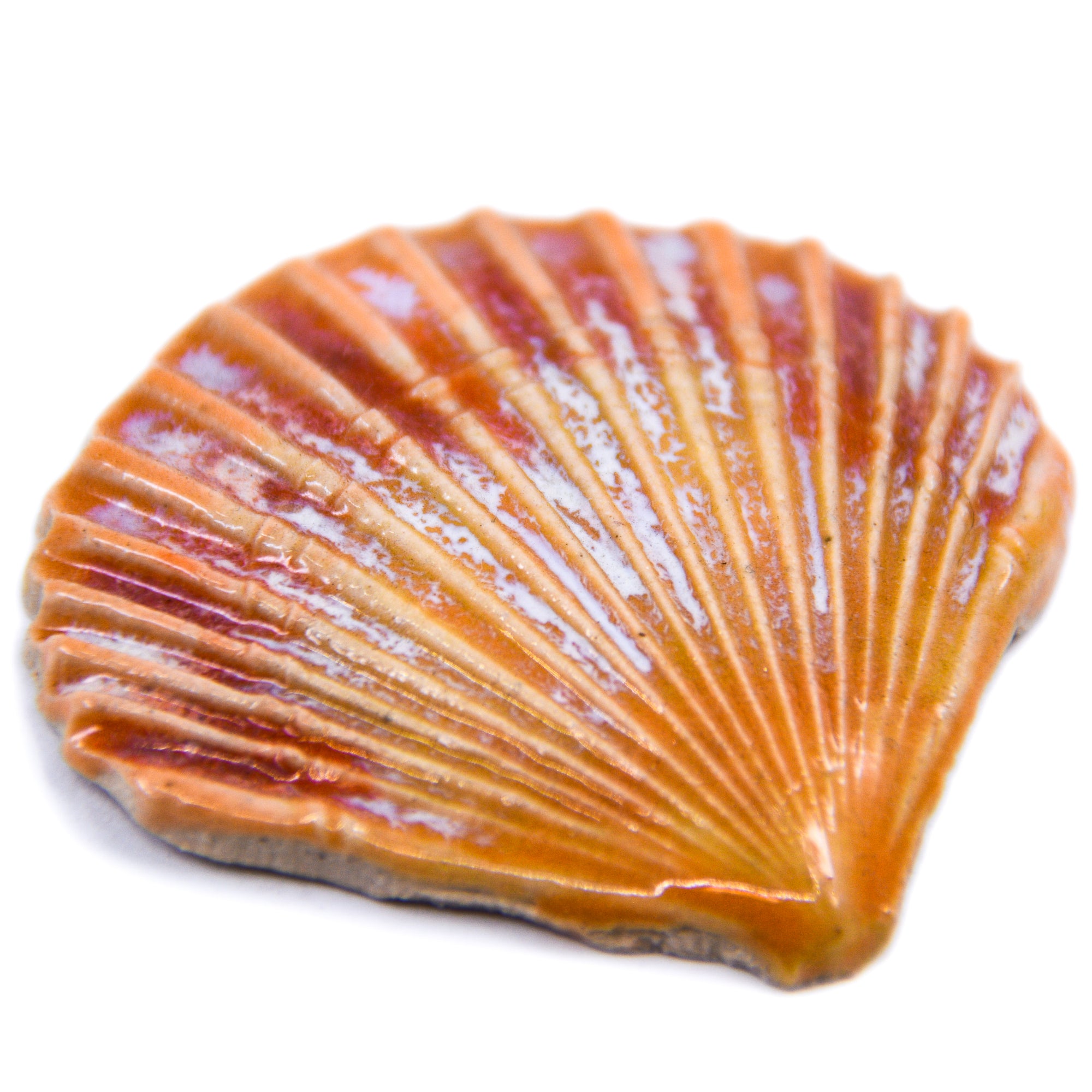 Sea Shell - Handmade Ceramic tiles