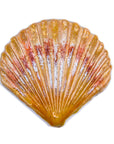 Sea Shell - Handmade Ceramic tiles