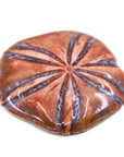 Sand Dollar - Handmade Ceramic tiles