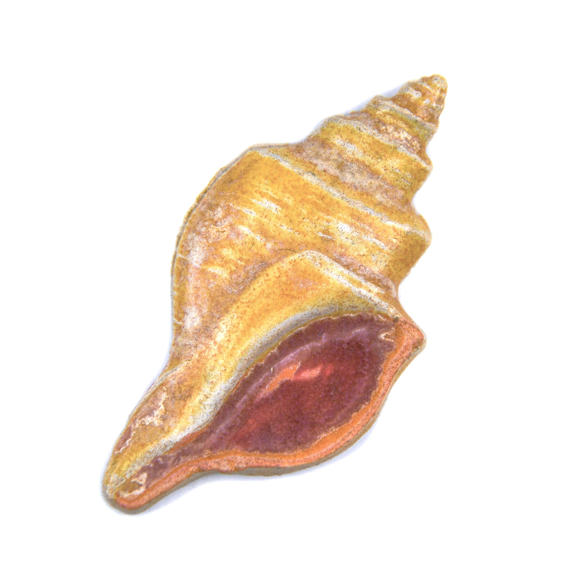 Sea Shell - Handmade Ceramic tiles