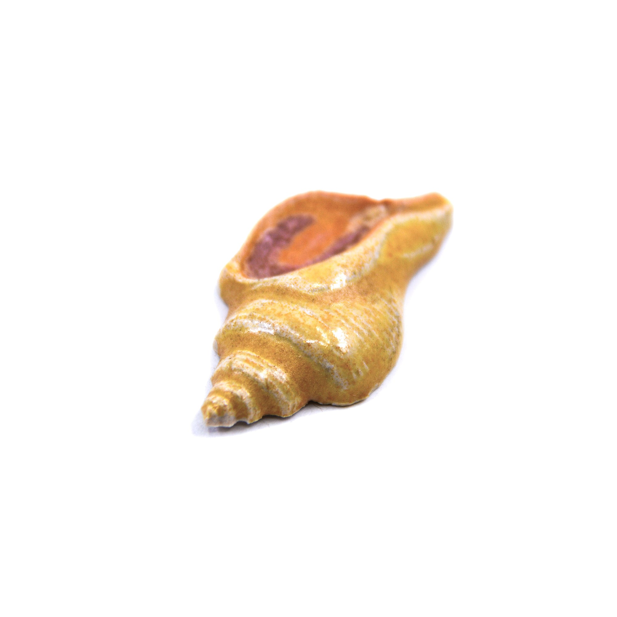 Sea Shell - Handmade Ceramic tiles