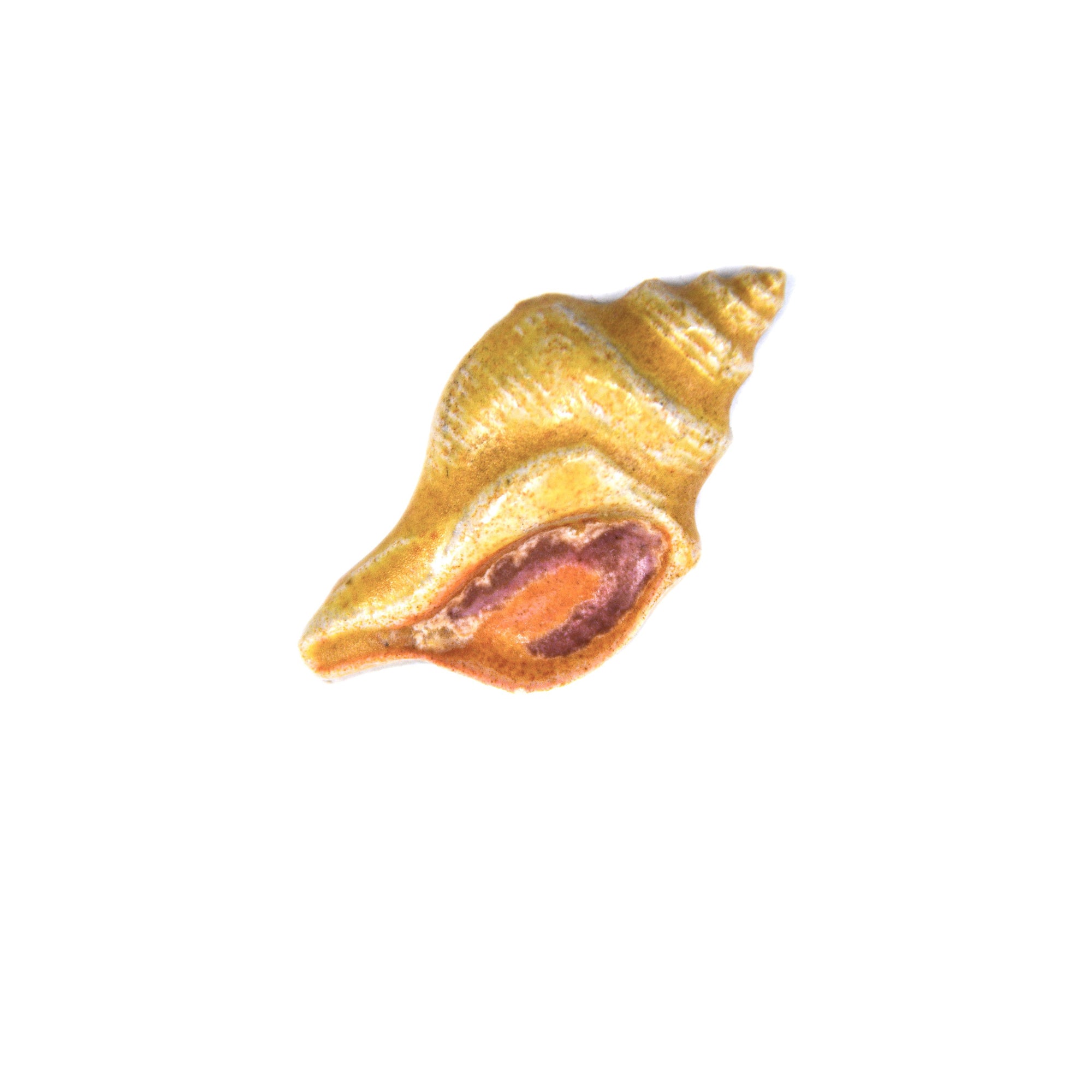 Sea Shell - Handmade Ceramic tiles