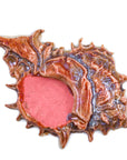 Sea Shell - Handmade Ceramic tiles