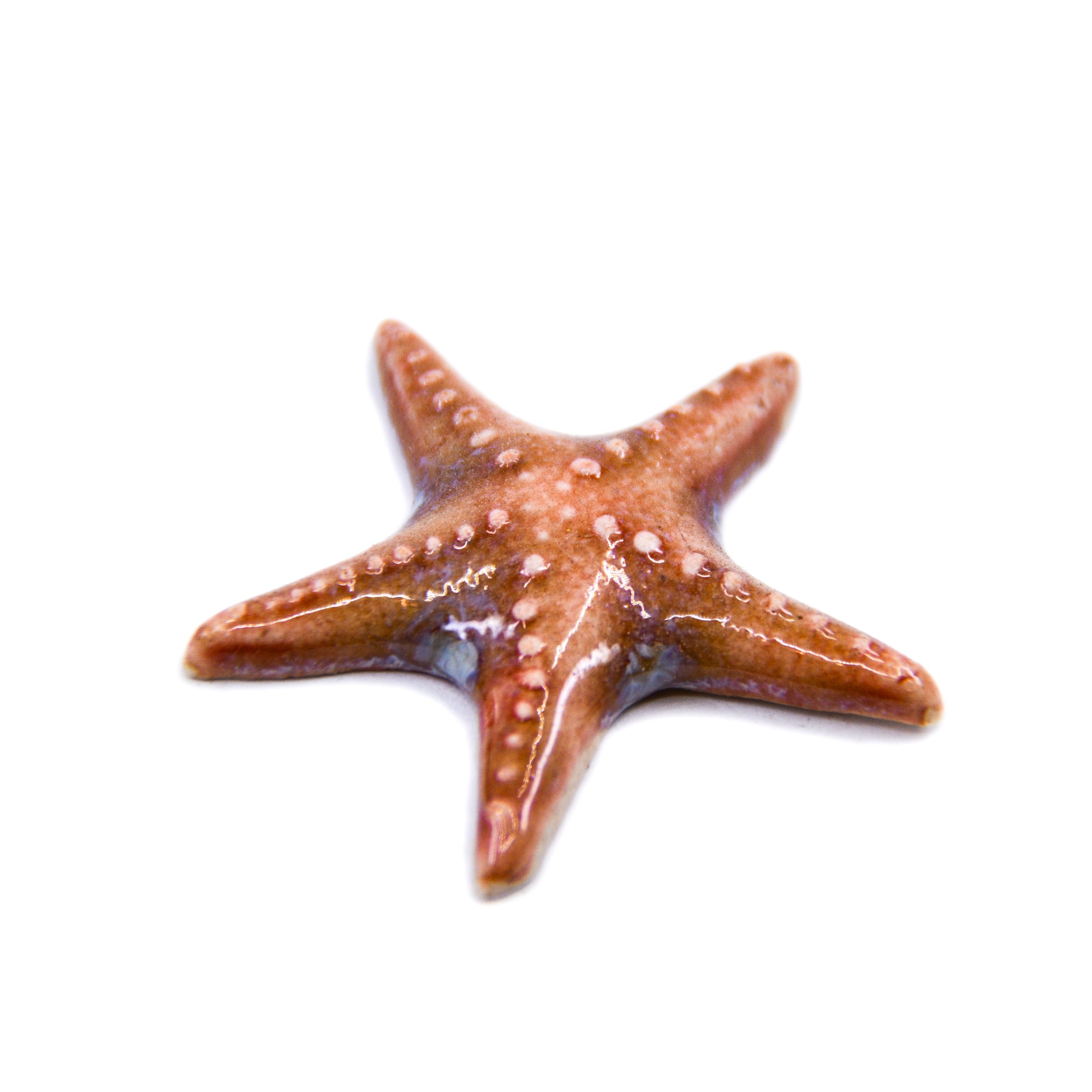 Starfish - Handmade Ceramic tiles
