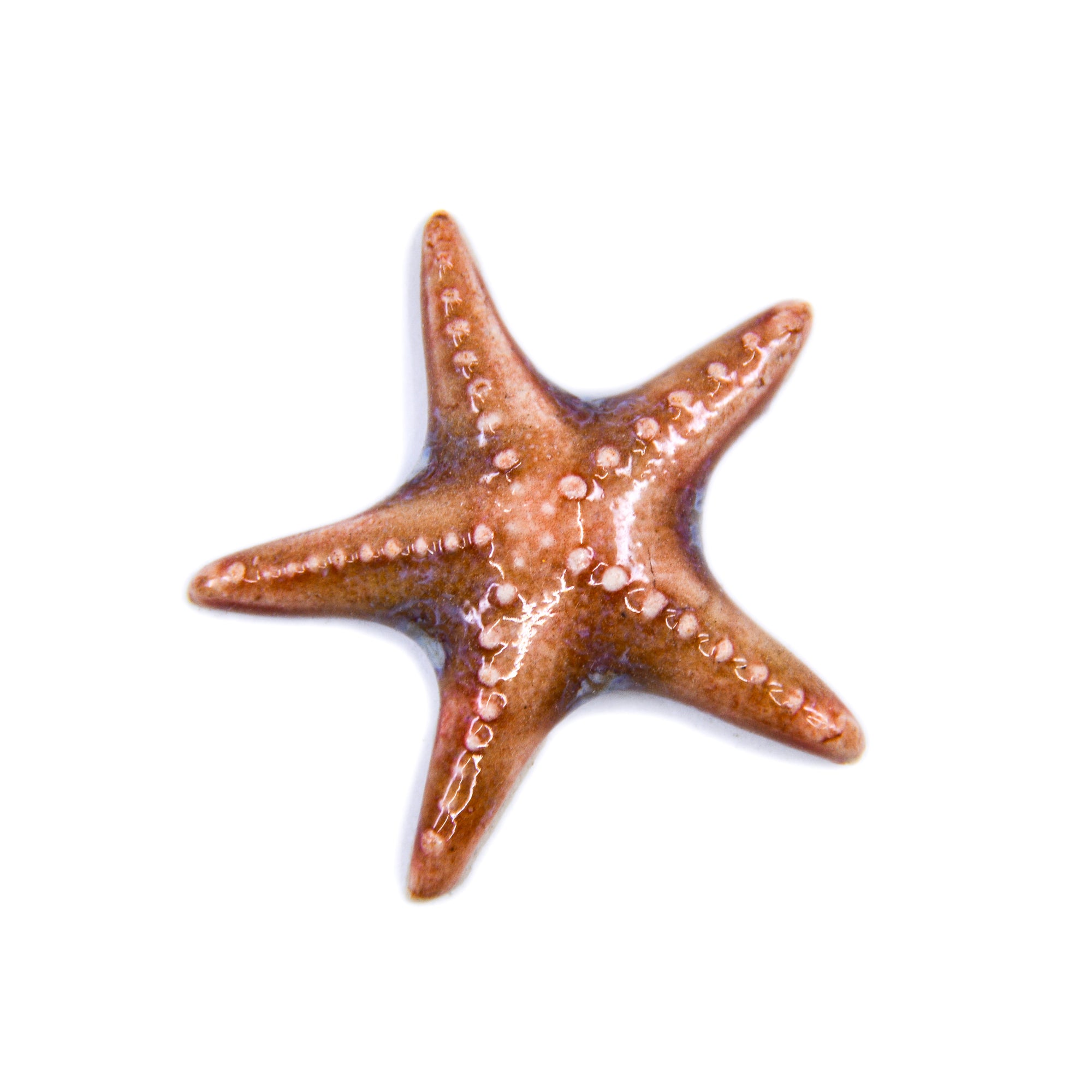 Starfish - Handmade Ceramic tiles