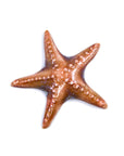 Starfish - Handmade Ceramic tiles
