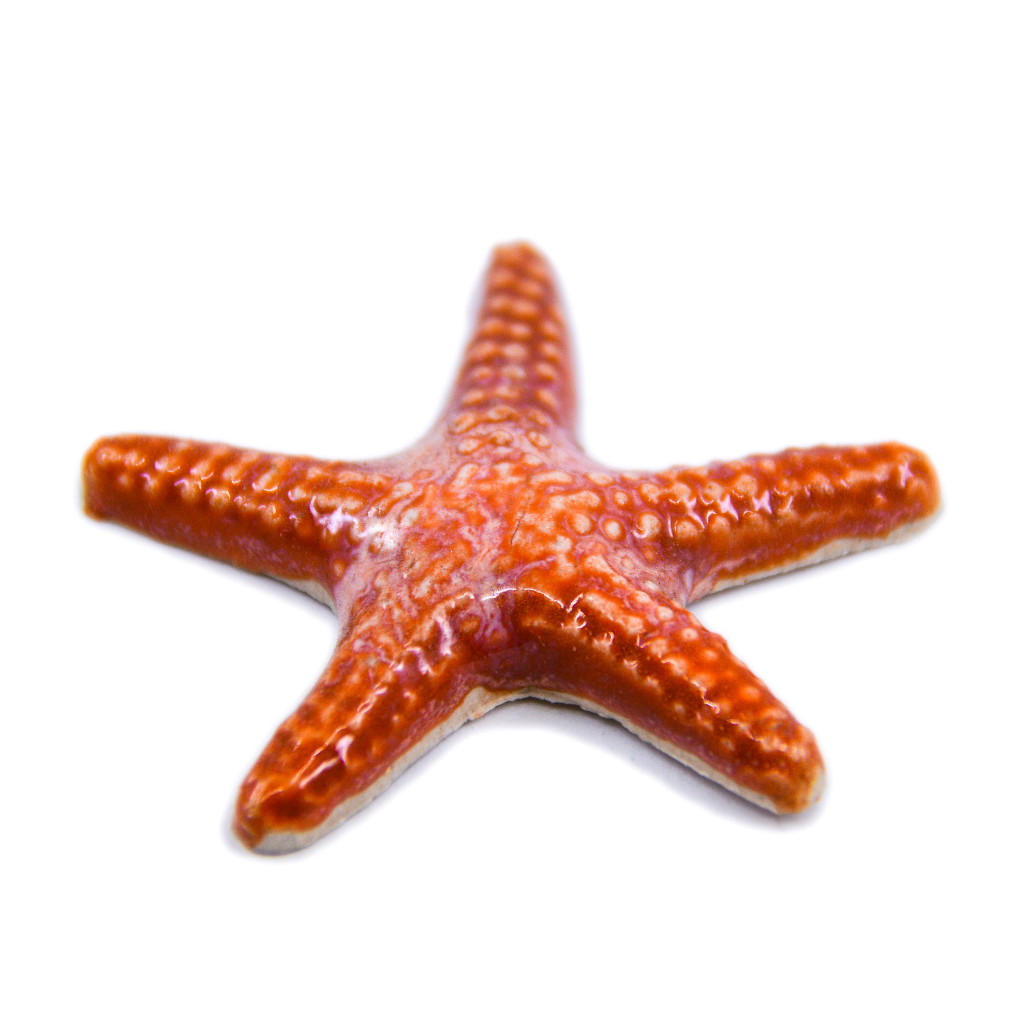 Starfish - Handmade Ceramic tiles
