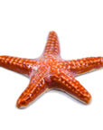 Starfish - Handmade Ceramic tiles