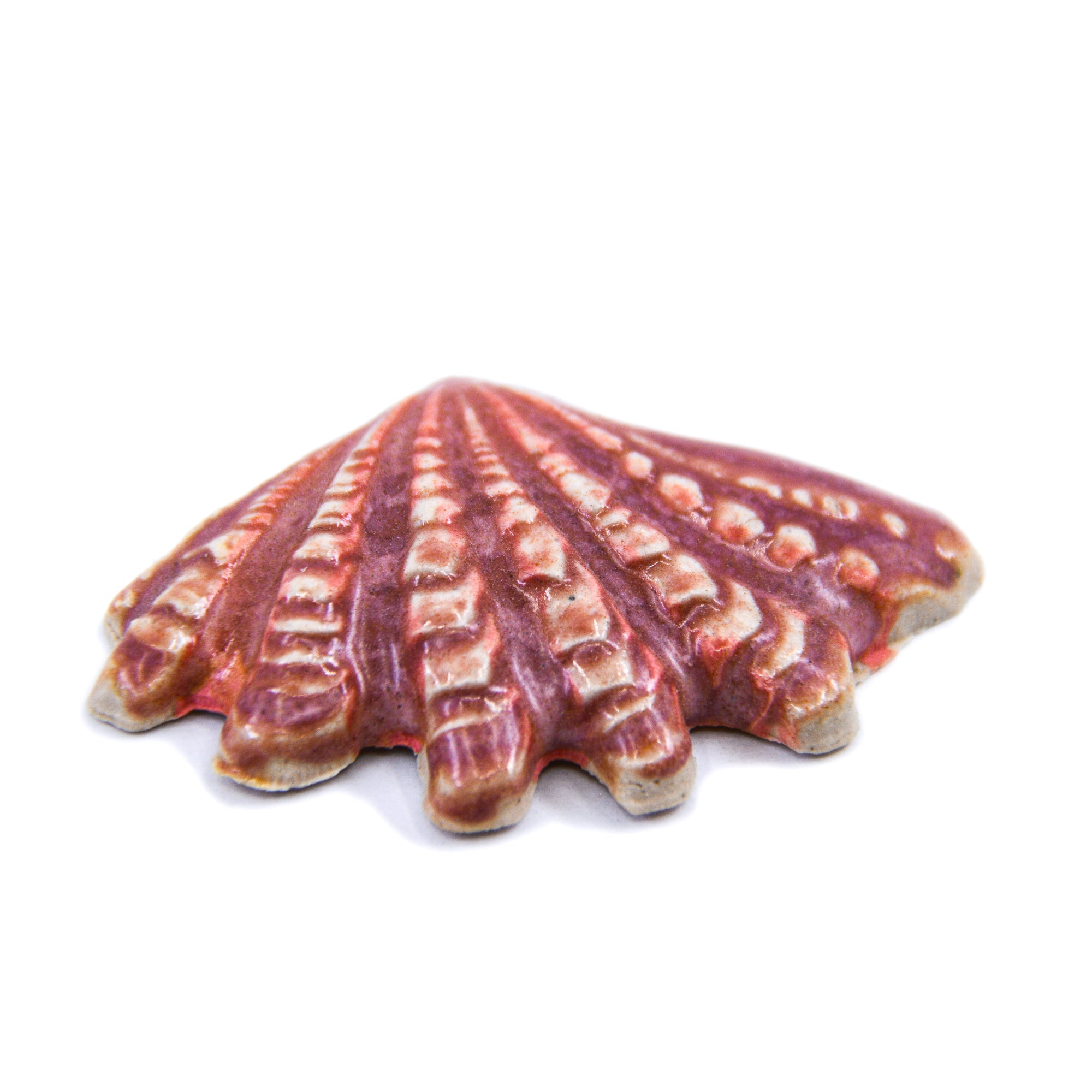 Sea Shell - Handmade Ceramic tiles