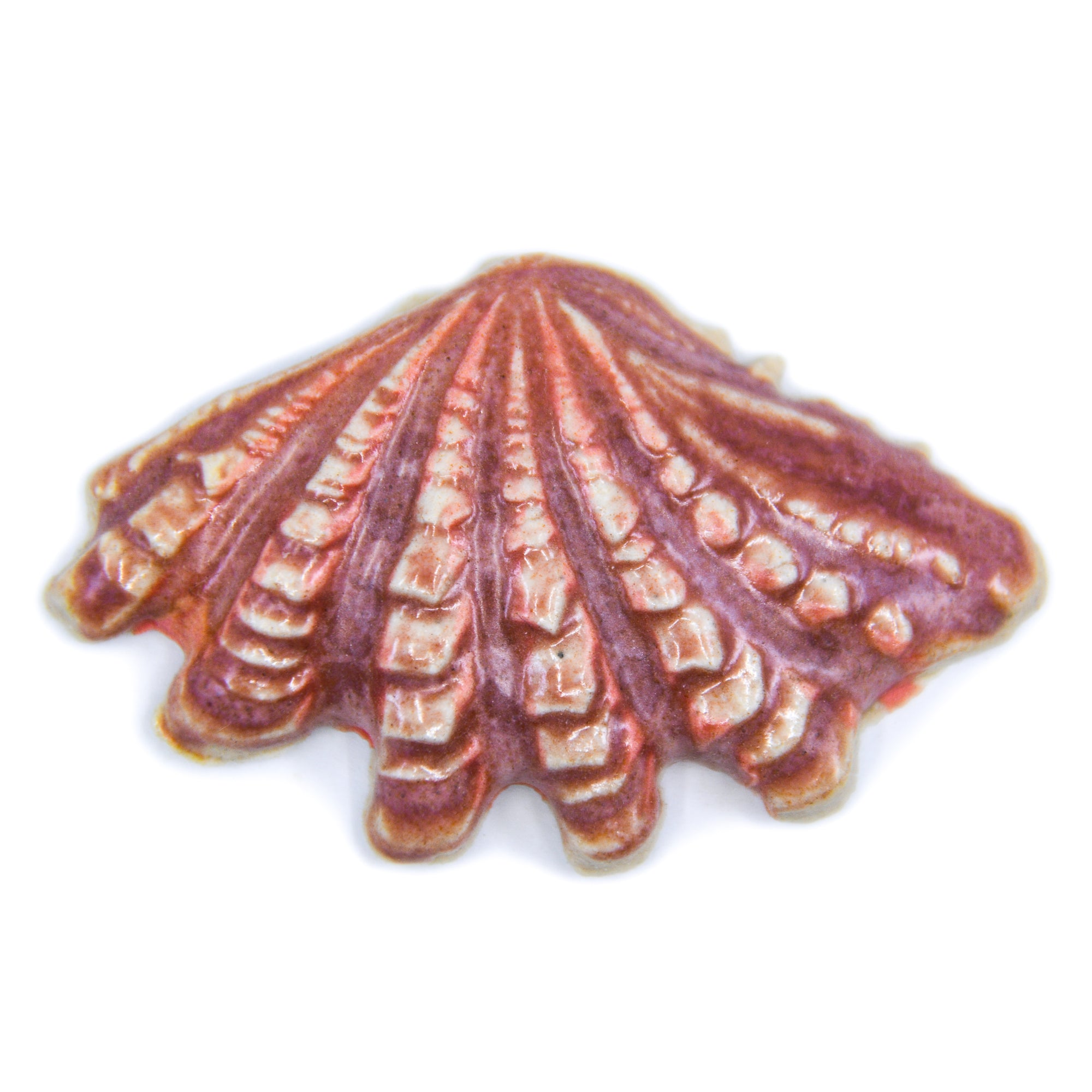 Sea Shell - Handmade Ceramic tiles