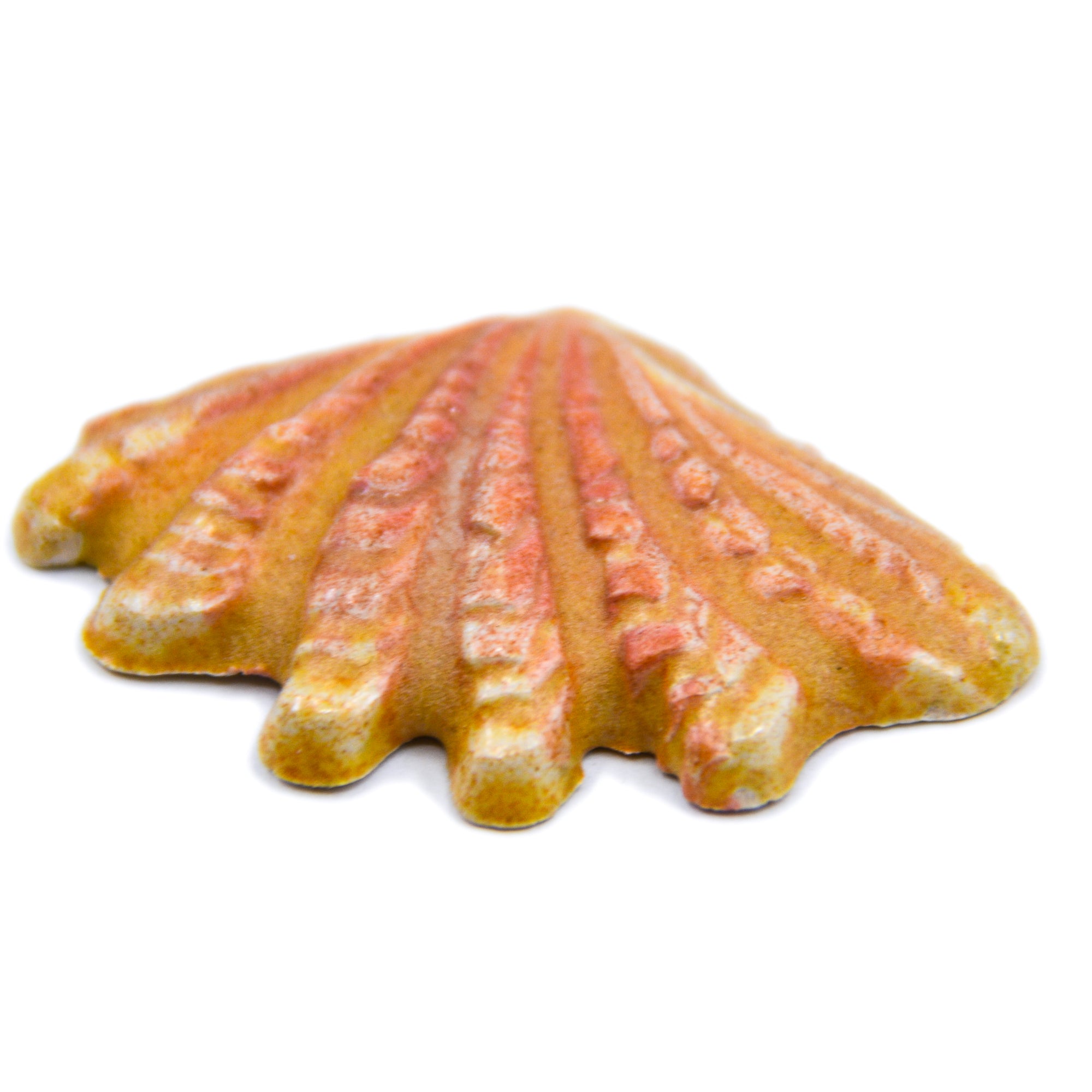 Sea Shell - Handmade Ceramic tiles