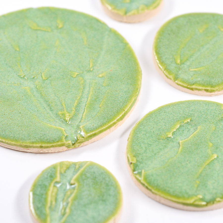Cacti Circles - Handmade Ceramic tiles