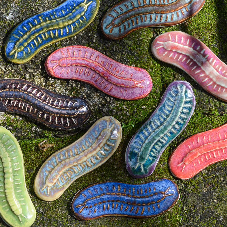 Centipede - Handmade Ceramic Insects