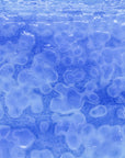 Light Blue Opalescent, Cobalt Blue Transparent Mottle