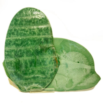 Tortilla - MST-89 - Green-Blue