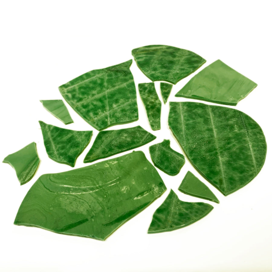 Tortilla - MST-89 - Green-Blue