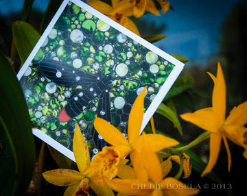 Oleander Moth - Blank Greeting Card